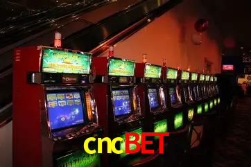 A Experiência Imersiva dos Cassinos Ao Vivo no cncbet