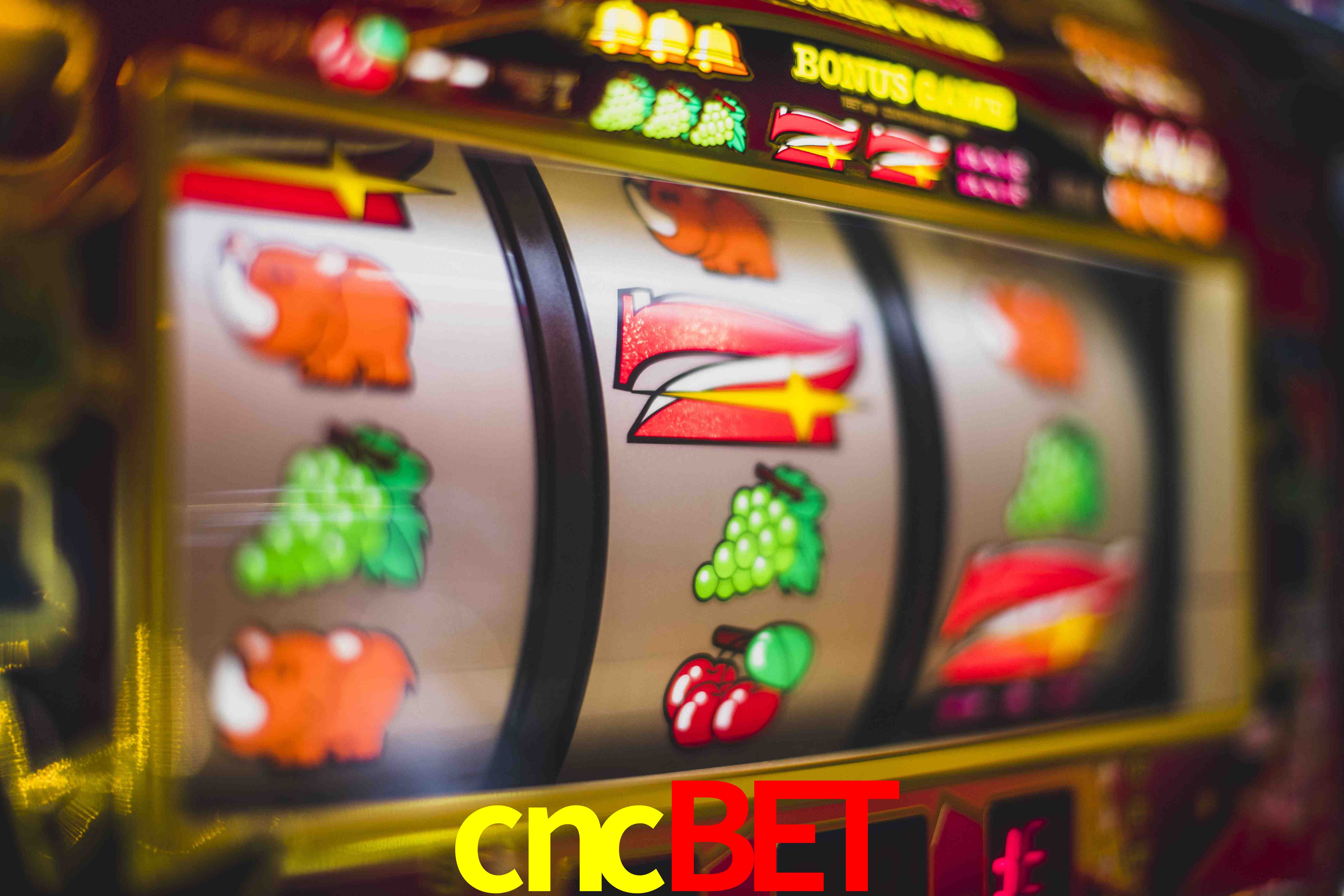 Crash Games Statistics cncbet