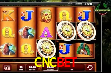 Apostas Esportivas na CNCBET: Um Guia Completo